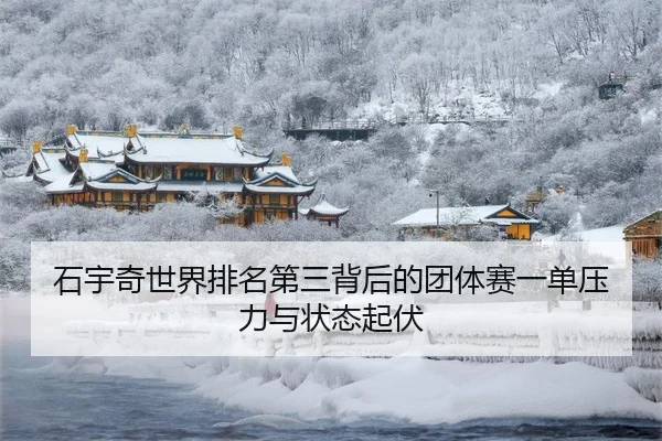 shi-yu-qi-shi-jie-pai-ming-di-san-bei-hou-de-tuan-ti-sai-yi-dan-ya-li-yu-zhuang-tai-qi-fu-3-237.jpg